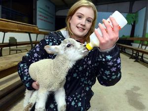 Supporting image for story: Meet the newest addition to the family