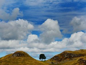 The Sycamore Gap on Hadrian's Wall in Northumberland in 2013