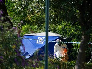 Supporting image for story: Murder accused pleads not guilty after woman dies in Ladywood woodland