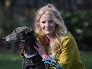 Supporting image for story: More plumbers and plasterers should become MPs says Green in maiden speech