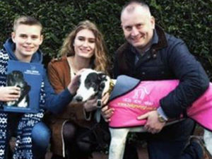 Supporting image for story: Survivor of Stourbridge triple stabbing expected to attend Albion's game against Liverpool as club to pay tribute