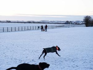 Supporting image for story: In Pictures: Snow day fun as bitterly cold snap grips the UK