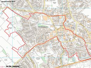 Supporting image for story: Residents to go without full representation until May 2021 after council clash