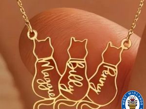 Supporting image for story: Police appeal to trace gold cat name necklace stolen in Walsall burglary