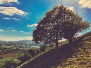 Supporting image for story: Anger as Shropshire beauty spot car park is shut due to vandals