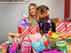 Supporting image for story: Telford vets in 'Santa Paws' appeal to support animal charities