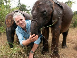 Supporting image for story: TV animal enthusiast Gordon Buchanan talks ahead of Shrewsbury show