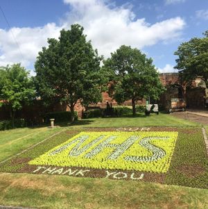 Supporting image for story