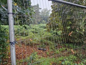 Supporting image for story: Clarkson's Farm mulching robot to help clear Shrewsbury site saved from redevelopment