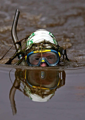 Recommended by Lonely Planet