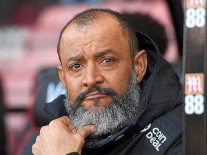 Supporting image for story: Wolves comment: Terriers would add bite to the pack