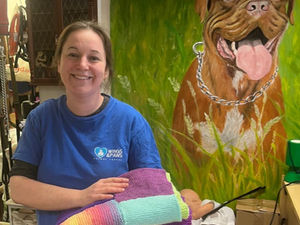 Supporting image for story: Patients at Penn Hospital get creative for animal rescue charity