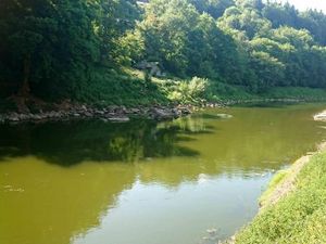 Supporting image for story: Petition calls for a ban on opening chicken farms amid pollution claim