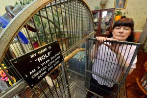 Mrs Mallin has been left devastated