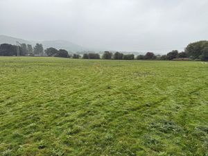 Supporting image for story: Riverside pasture land at Leighton for sale at £350,000