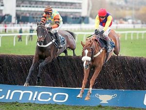 Supporting image for story: WIN! Tickets to see the Cheltenham Gold Cup