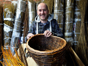 Supporting image for story: The art of willow