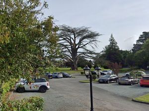 Supporting image for story: Road closures for dead tree removal at Shropshire wedding venue