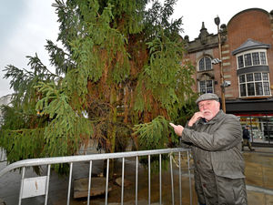 Supporting image for story: Not so tree-mendous! Council to replace two 'disappointing' Christmas trees put up in borough
