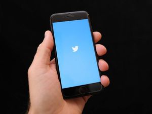 Supporting image for story: Twitter reports increase in revenue but fall in monthly users