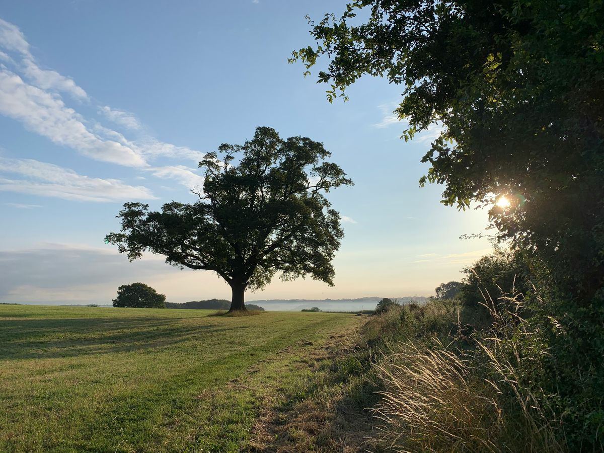 Shropshire Council partners with visitor behaviour insights provider to measure impact of green space Improvements