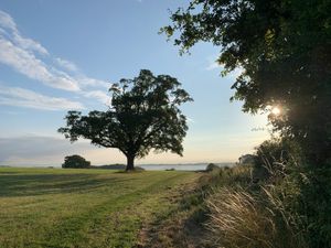 Supporting image for story: Shropshire Council partners with visitor behaviour insights provider to measure impact of green space Improvements