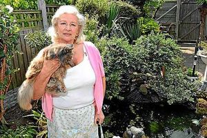 Supporting image for story: Killer shrimp 'did not blind cat'