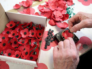 Supporting image for story: Man arrested after poppy tin is stolen from butchers