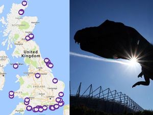 Supporting image for story: This interactive map will show you the UK’s best spots for finding fossils
