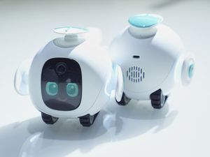 Supporting image for story: CES 2026: Robots, AI companions and wearables among highlights on day two