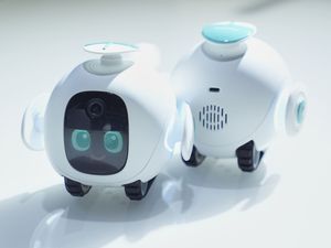 Supporting image for story: CES 2026: Robots, AI companions and wearables among highlights on day two