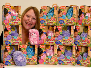 Supporting image for story: Curlimals and more: World of toys a launchpad for Telford firm's global success 