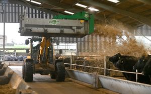Sorting our fresh bedding for the cows at Wyndford Wagyu 