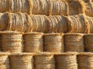 Supporting image for story: Bale danger warning given to farmers in Shropshire