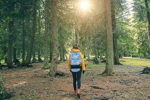 Walking became part of Ellie’s routine to keep her weight under control as she struggled through lockdown