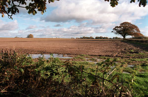 The agricultural land where the visitor from outer space made its arrival.