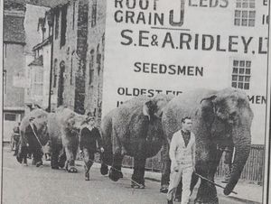Supporting image for story: The days when elephants trumpeted their way across Bridgnorth bridge and through the town