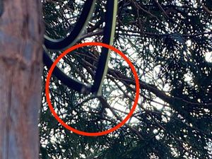 Supporting image for story: Shropshire broadband cables vandalism threatens ultra-fast service roll-out