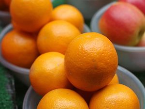 Supporting image for story: A compound found in oranges ‘could help protect against age-related eye disease’