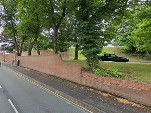 Supporting image for story: 'Dangerous' trees due to be felled in Dudley borough as the council plans to the go ahead