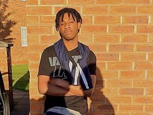 Supporting image for story: Family of man killed in e-scooter crash call for mandatory helmets