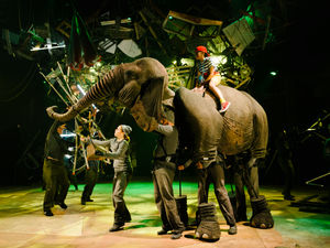 Supporting image for story: Animal magic continues at Wolverhampton Grand