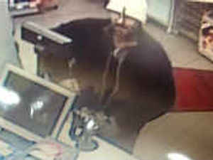 Supporting image for story: CCTV: Police want to question man over Market Drayton charity box theft