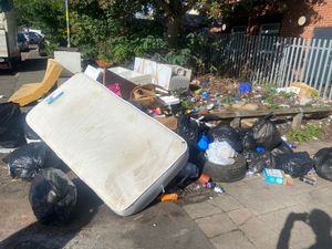 Supporting image for story: Birmingham council issues statement on pest control disruption amid bins strike