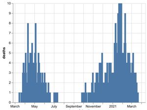 Supporting image for story: No further Coronavirus deaths recorded at Shropshire hospitals