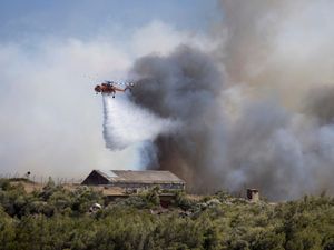 Supporting image for story: Firefighters tackle blazes on Greek islands of Chios and Kos