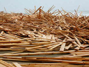 Supporting image for story: Farming Talk: Wood demand giving timber industry boost