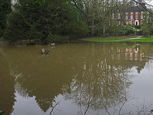 Supporting image for story: Ironbridge park floods as more rain on the way