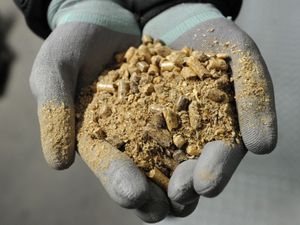Biomass power generators