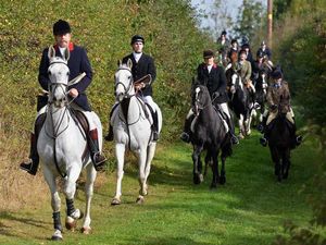 Supporting image for story: Hounds chase men in charity hunt to raise cash for injured jockeys